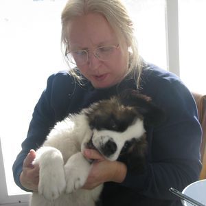 Meet your Posher, Diane